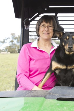 Country life: Williams with his wife, Nancy Capel, and Emmie the kelpie on their farm in Rob Roy, near Inverell in NSW. 