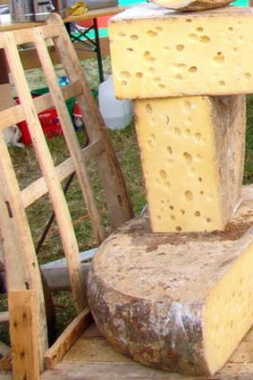 The big cheese: huge block of Emmental cheese at a country festival.