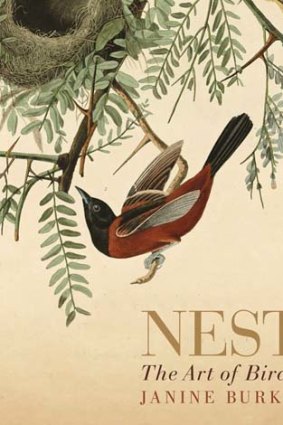 <em>Nest: the Art of Birds</em> by Janine Burke. Allen & Unwin, $32.99.