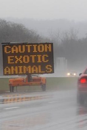 A sign posted on Interstate 70 warns drivers of animals loose.