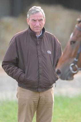 "It's the first year that they have really eaten well. It's a product of changing their feed because of having had issues" ... trainer Luca Cumani.