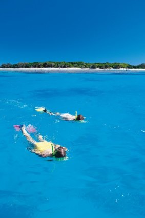 Day trip: Snorkelling at Lady Musgrave Island. 