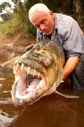 Hooked ... Jeremy Wade with a Congo tigerfish.