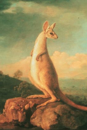 Kangaroo:<em> George Stubbs.</em>