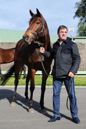 Great expectations: Trainer Mark Kavanagh with Atlantic Jewel.