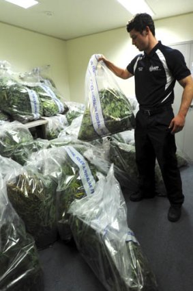 AFP officer Cade DeLepervanche stacks the bags of plants.