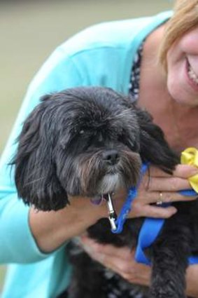 Sunbury's Kerri Bennett supports the yellow ribbon concept with her dog, Buddy.