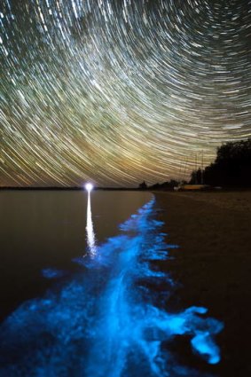 Bioluminescence is appearing again in the Gippsland Lakes.