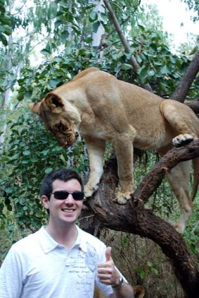 Top of the food chain ... the writer gets up close with one of the lions.