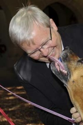 Kevin Rudd says he is pleased sales will continue supporting the RSPCA.
