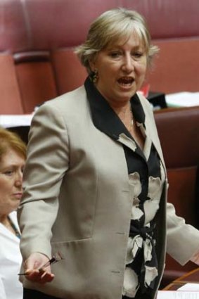 Liberal Senator Sue Boyce.