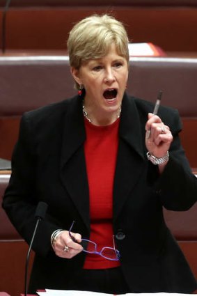 "This is a critical moment for our nation": Greens leader senator Christine Milne.