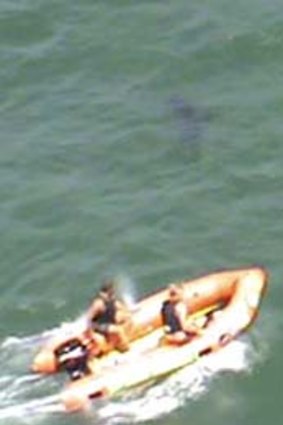 A lifeguards' boat chases the killer shark, possibly a great white.