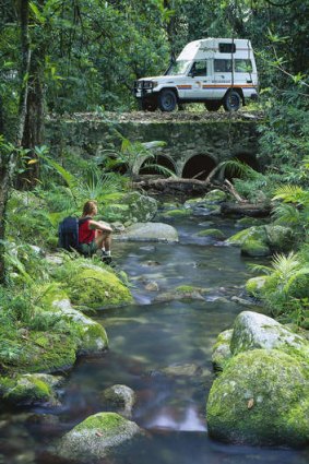 Awash with antiquity: the Daintree.