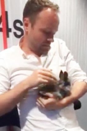 Host Asger Juhl killed a baby rabbit live on air.