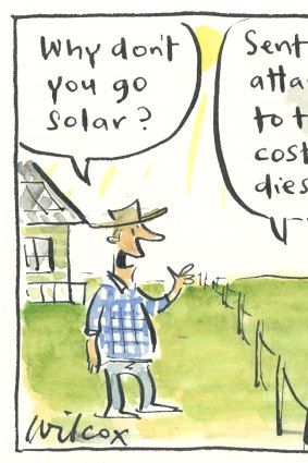 Illustration: Cathy Wilcox