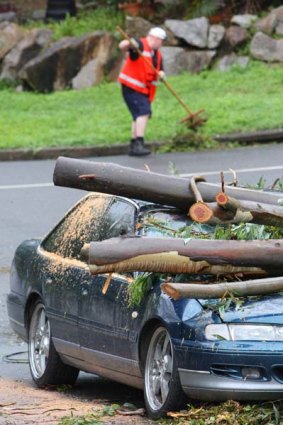 A car is smashed by falling trees at The Gap in 2008.