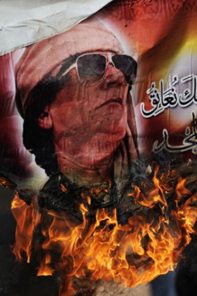 Muammar Gaddafi used to describe his enemies as 'vermin'.