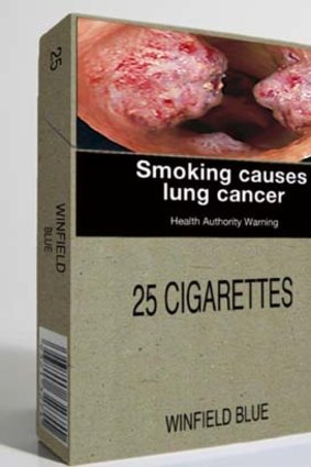 A mock-up of a cigarette package with the branding removed and health warnings displayed.