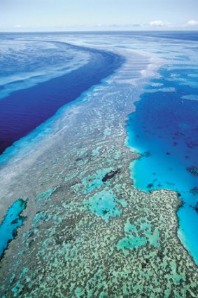 Under strain: An assessment of the Great Barrier Reef confirmed it was facing some difficulties.