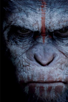 Caesar in <i>Dawn of the Planet of the Apes</i>.