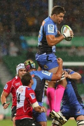 Wilhelm Steenkamp of the Force wins a line-out during the win over the Lions at nib Stadium in Perth.