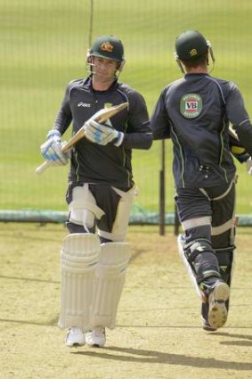 Tuning up: Michael Clarke and Matthew Wade in the nets.