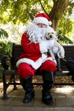 Emma Freedman, Jake the dog and David Jones Santa, David Fonti.