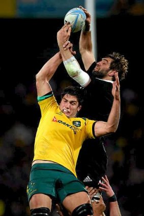 No dead rubber: Wallaby Rob Simmons in action against the mighty All Blacks.