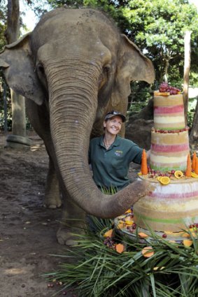 Elephant Tricia celebrates her birthday with a cake made from fruits and Sultana Bran.