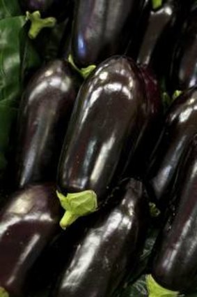 Eggplant.