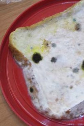 Mould resistant ... researchers say they have developed a technology that prevents bread from growing mould for 60 days.