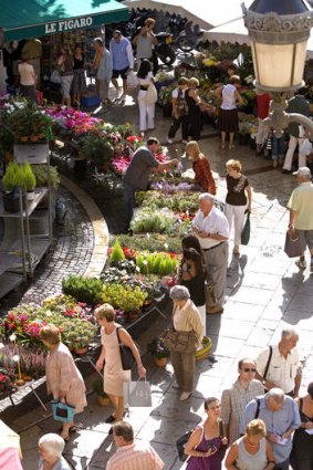 Stopping to smell the flowers in Aix en Provence.