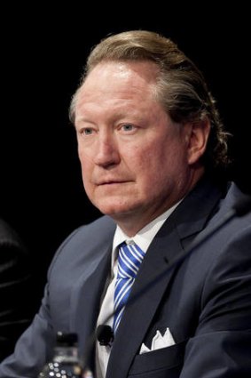 Fortescue Metals CEO Andrew Forrest.