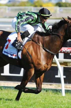 Alcopop ran second in the Caulfield Stakes in his final lead-up run before the Caulfield Cup.