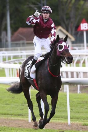 Riding high: Tim Bell and Tinto after their Queensland Oaks win.
