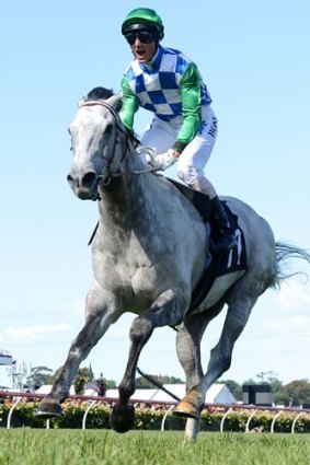 Impressive ... Glen Boss on Puissance De Lune won the The Queen Elizabeth Stakes.