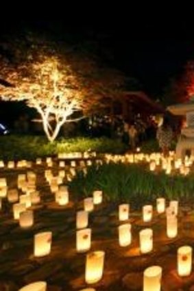 All lit up: Candles glow at last year's Canberra Nara Candle Festival.