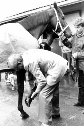 Dr Percy Sykes inspects Kingston Town at Flemington on October 28, 1980.