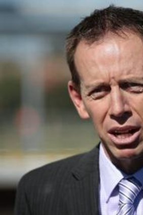 Shane Rattenbury: Concerns about racial discrimination laws are "hyperbolic and unwarranted".