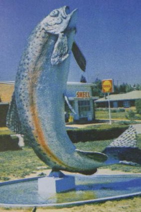 The original big trout in 1973.