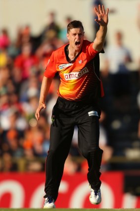 Jason Behrendorff has been the highest wicket taker in the BBL playing for the Perth Scorchers.