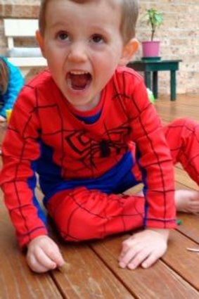 No clues: William Tyrell was last seen wearing his Spider-Man outfit.