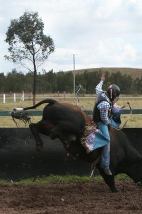 Justin Robards concedes bullriding is "pretty dangerous". 