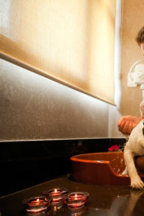 Bob, a French bulldog, is washed in a Japanese ofuro bathtub at the dog motel.