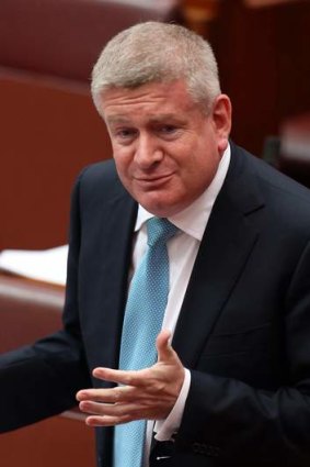 Said the government is seeking advice about "time lines" for the scheme from the NDIA board: Assistant Minister for Social Services Mitch Fifield.