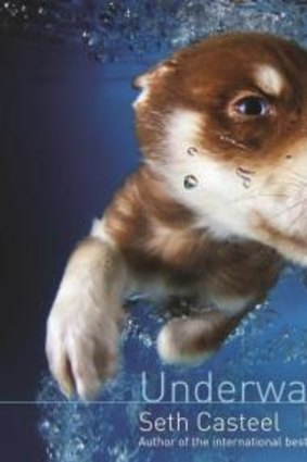 Drowning in cuteness: <i>Underwater Puppies</i> by Seth Casteel.