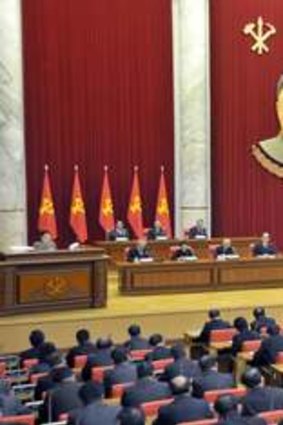 North Korean leader Kim Jong-un (4th R, front row) attends a plenary meeting of the Central Committee of the Workers' Party of Korea.