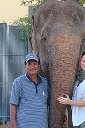 Patience rewarded ... Louise Rogerson with Sombo the elephant and her owner Sin Sorn. Sombo is receiving treatment for her abscessed feet.