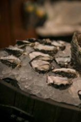 The Morrison Oyster Festival is a treat for seafood lovers.  